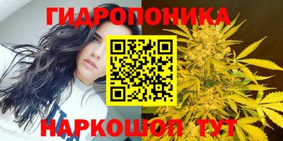 СК Тверь