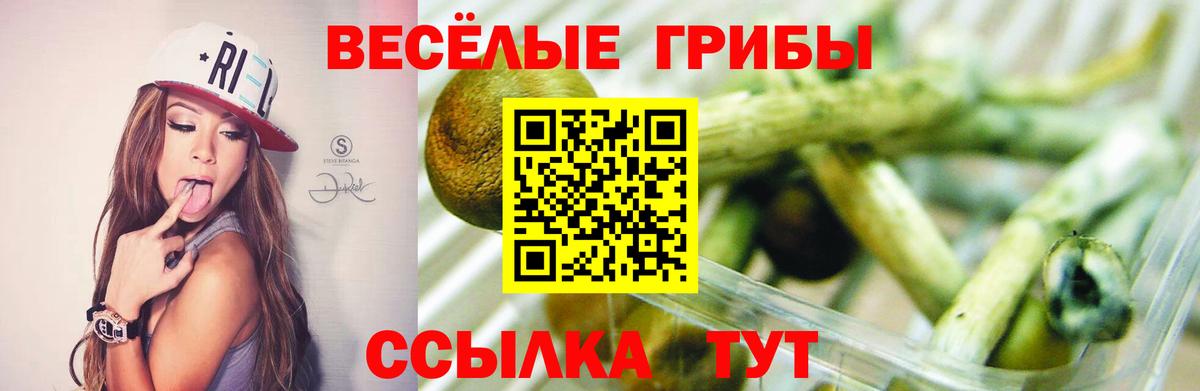 Нижнекамск  Галлюциногенные грибы Psilocybine cubensis  Вход с VPN  Галлюциногенные грибы прущие грибы 